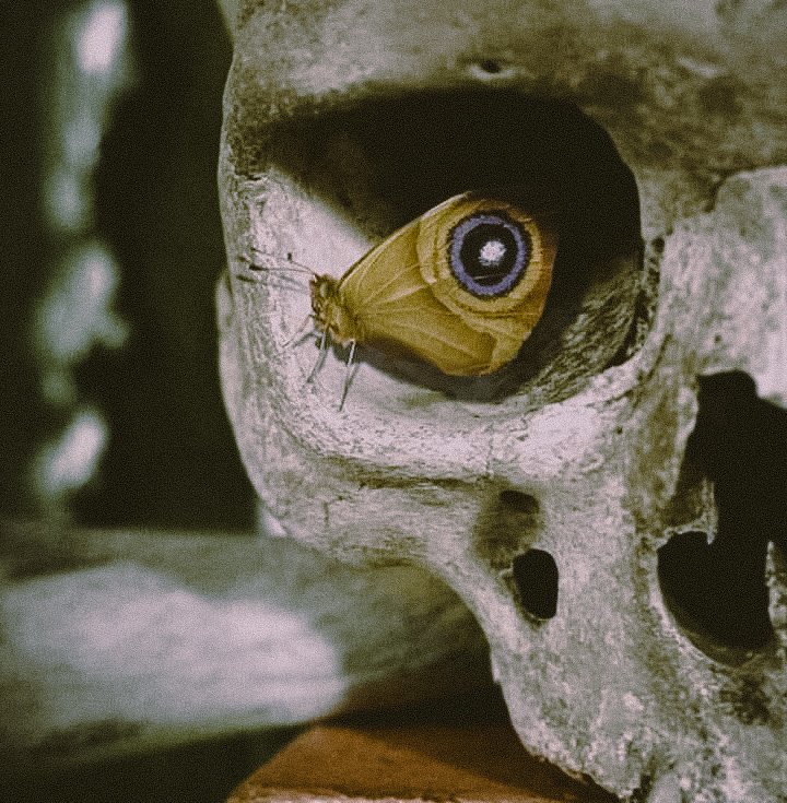 ⋆｡° ҽʅιȥαႦҽƚԋ tweet media