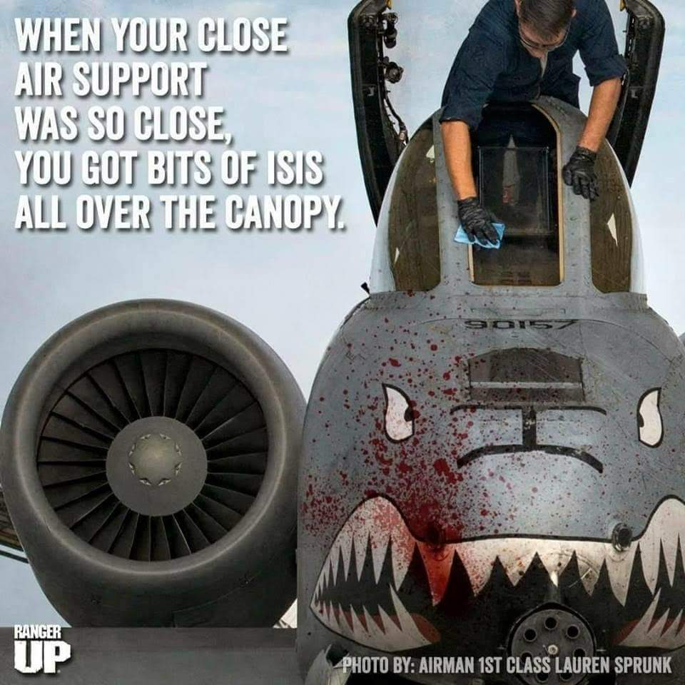 stephen webber tweet media