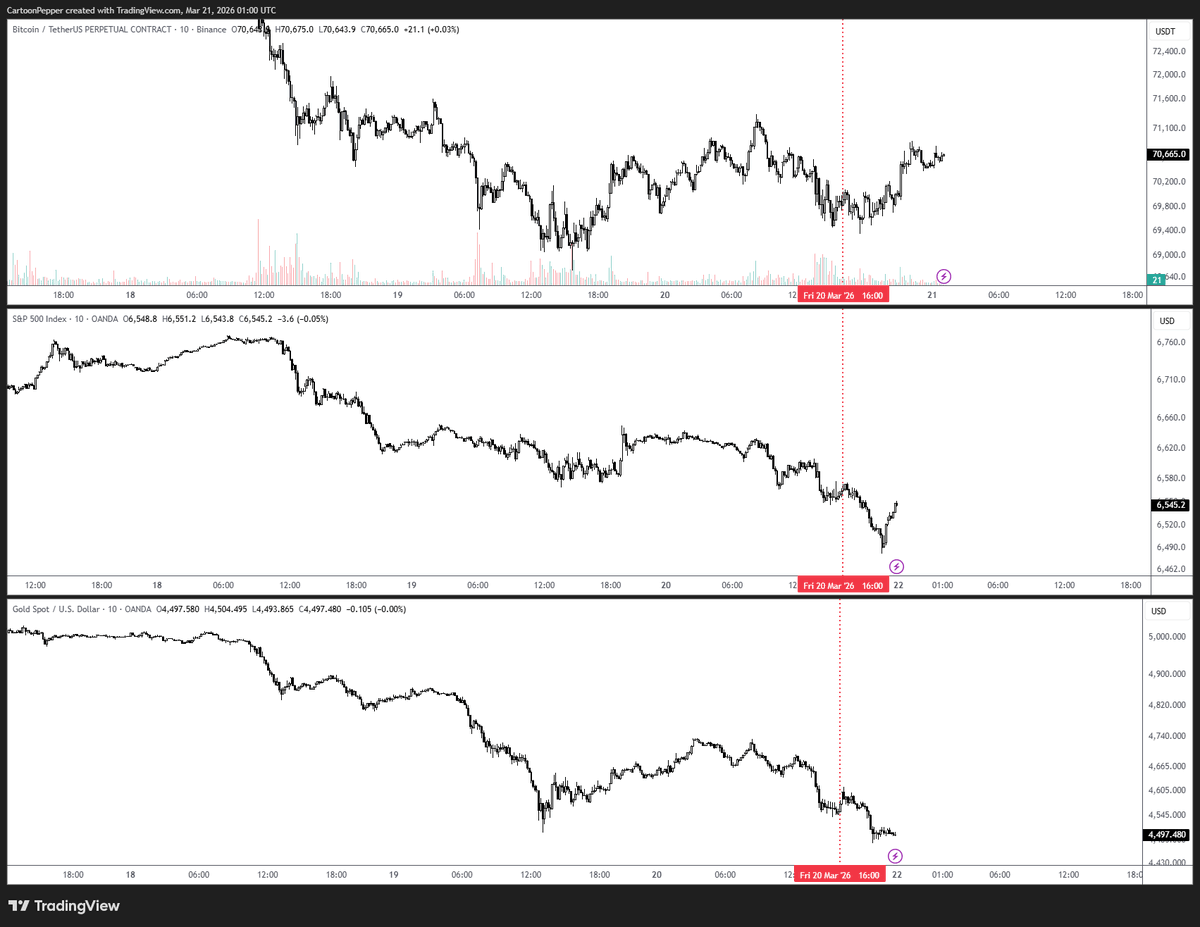 SalsaTekila tweet media