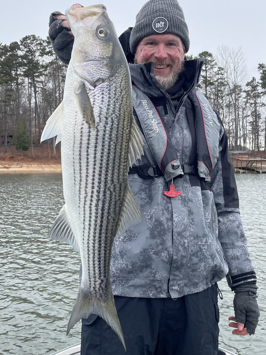 Tommy 🏆 tweet media