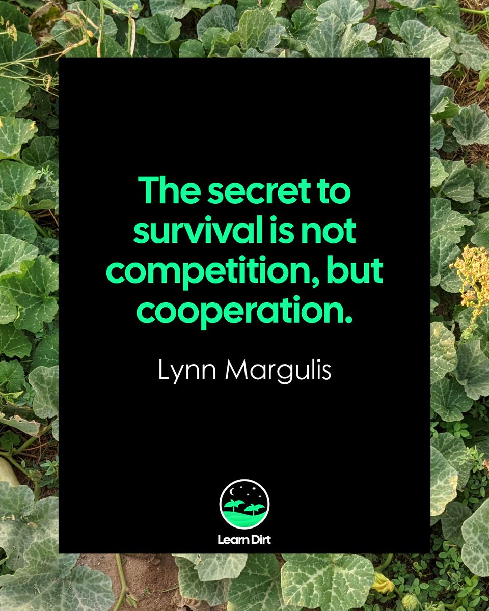 Learn Dirt 🌱 tweet media