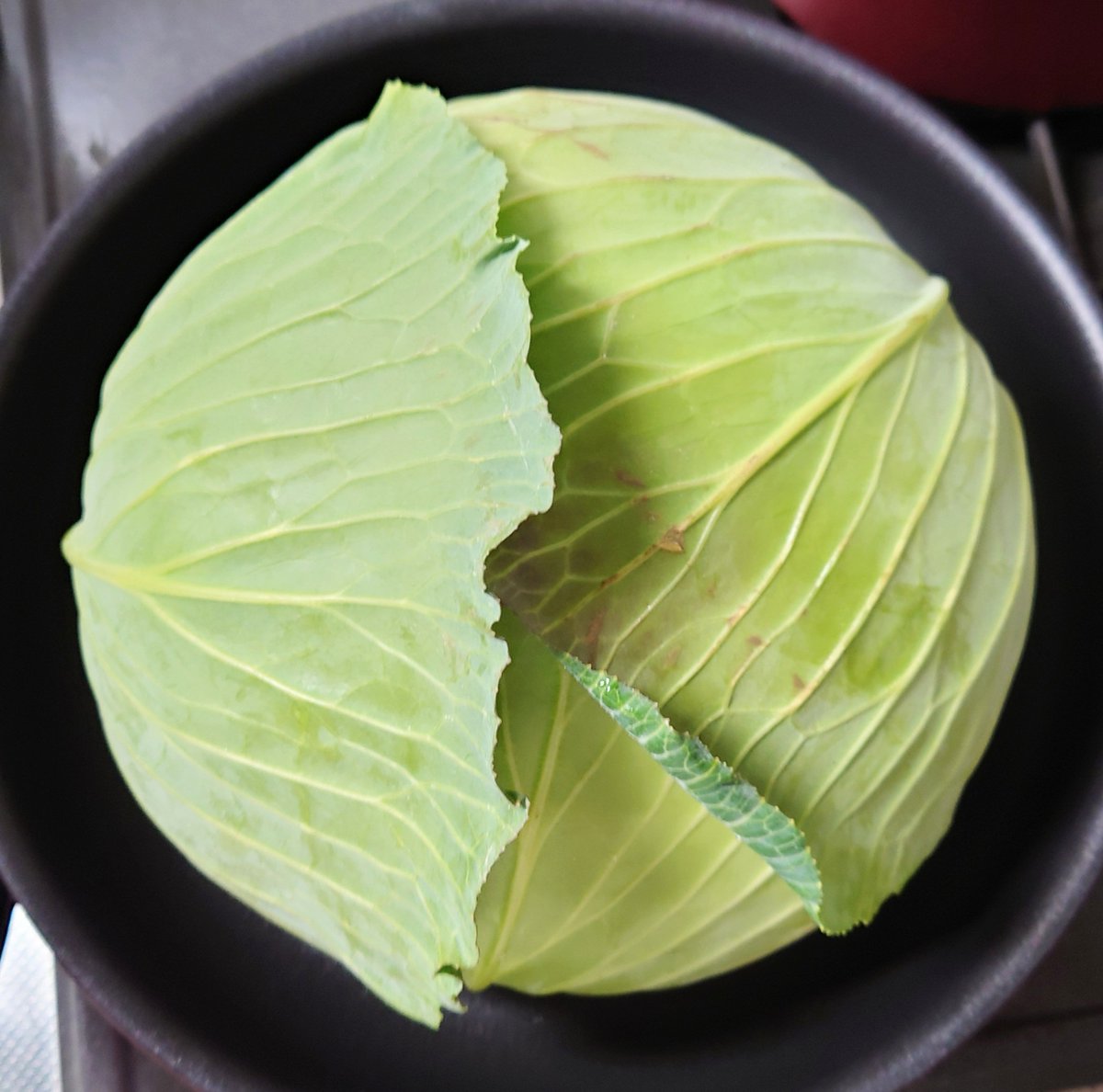 ティア\( ˙꒳​˙ \三/ ˙꒳​˙)/執事さん tweet media