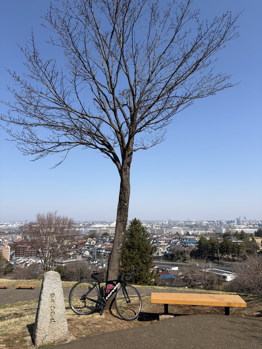 あき☆あき tweet media