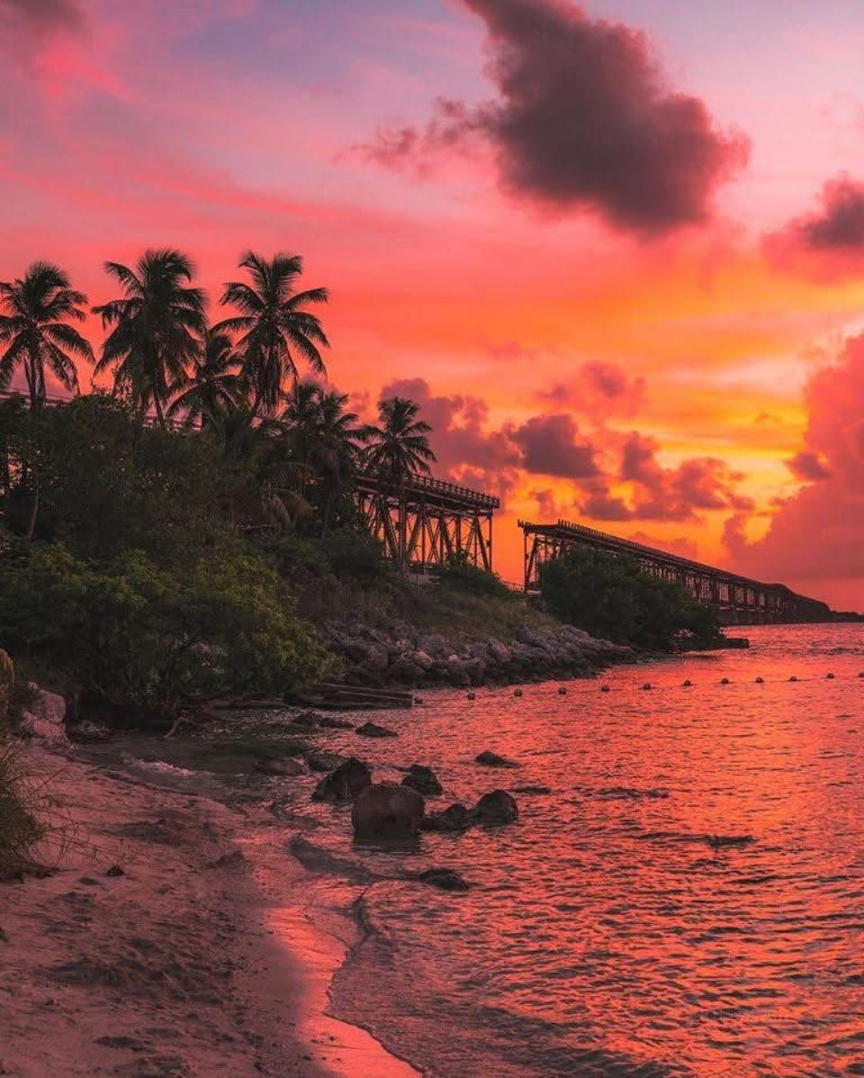 Richard Gray tweet media