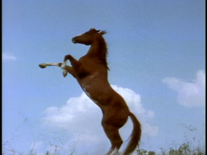 Rebel Je'Daii tweet media