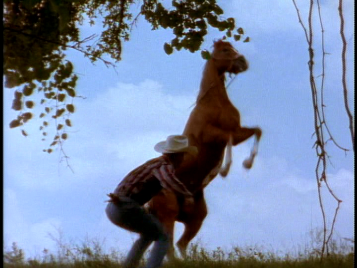 Rebel Je'Daii tweet media