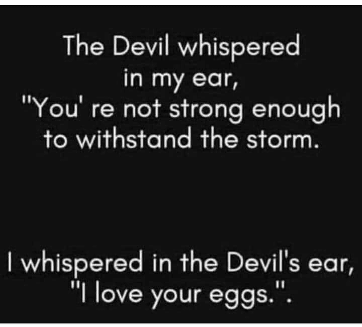 J🍩ey Bag 🍩f D🍩nuts 🍩 tweet media