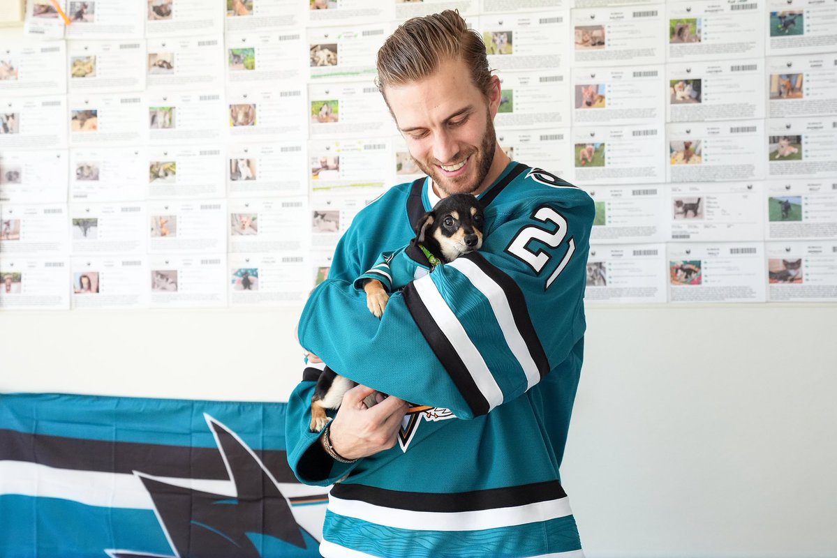 San Jose Sharks tweet media