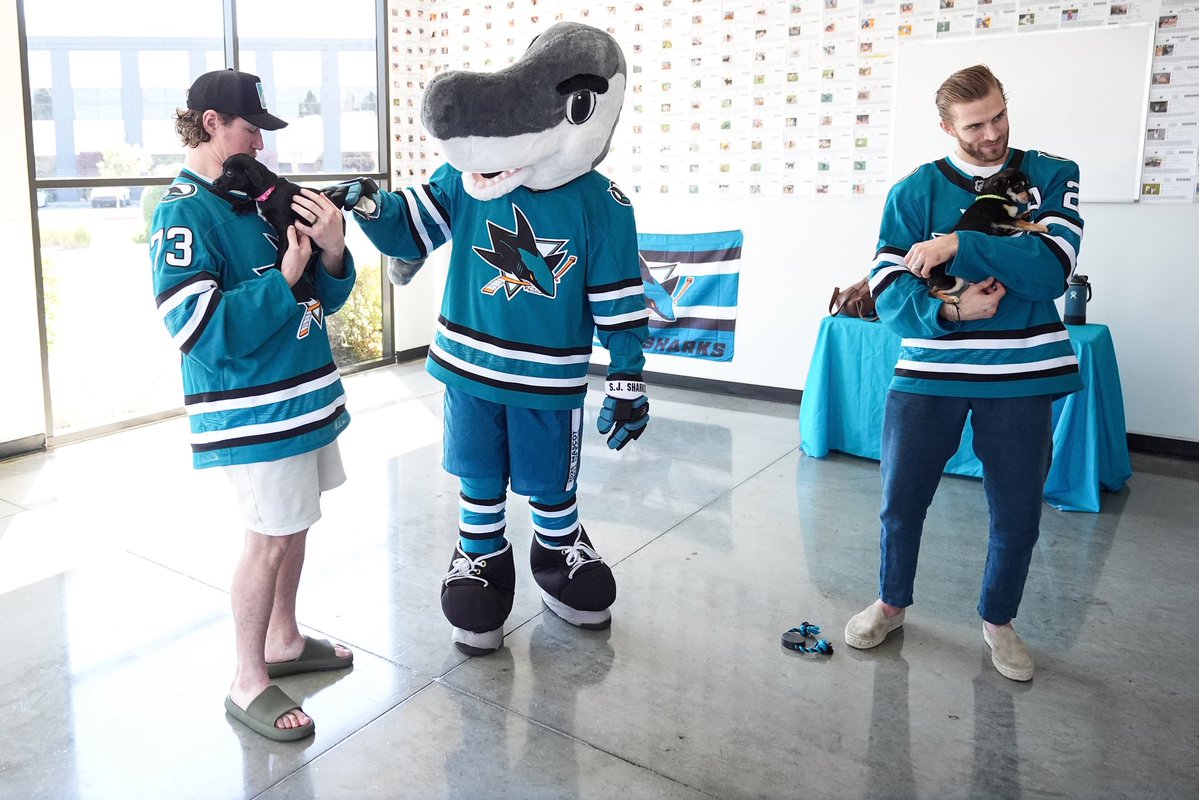 San Jose Sharks tweet media