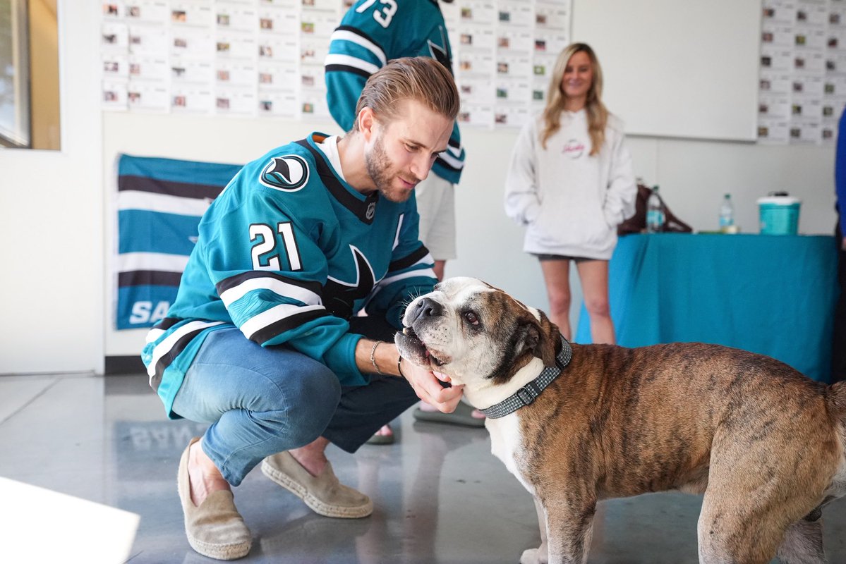 San Jose Sharks tweet media