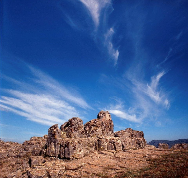 Balkan & Beyond tweet media