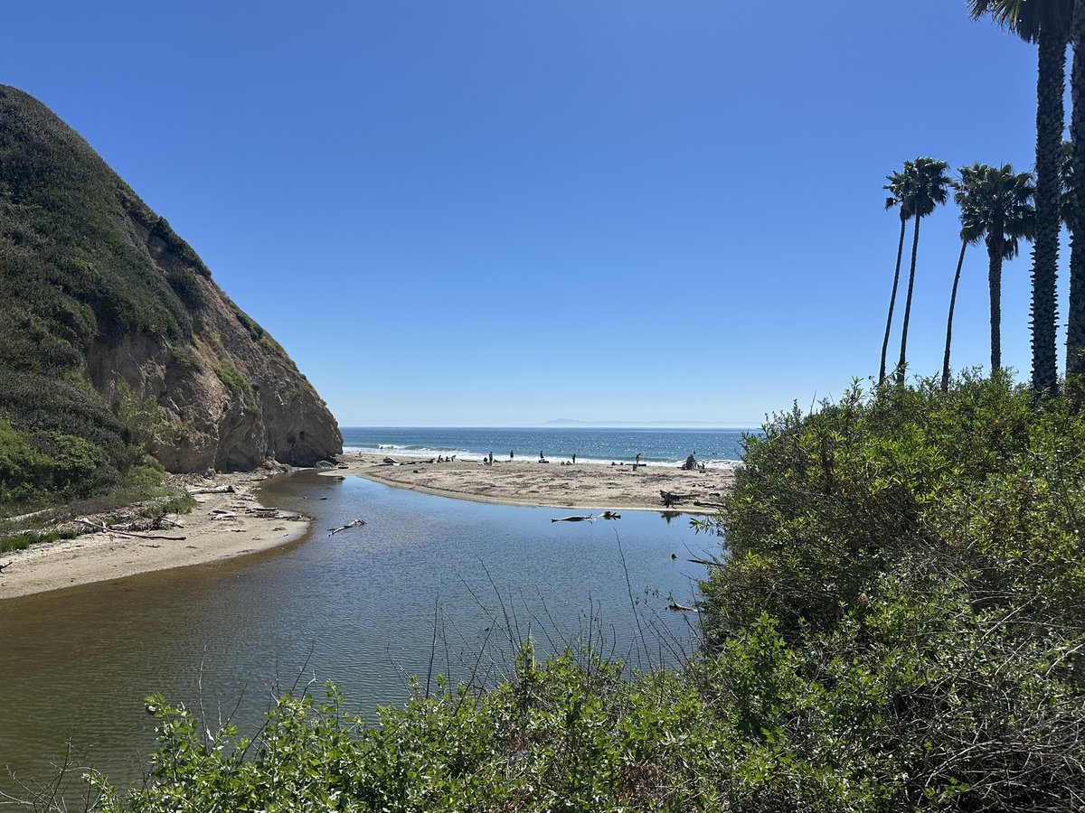 Dave's Travel Corner tweet media