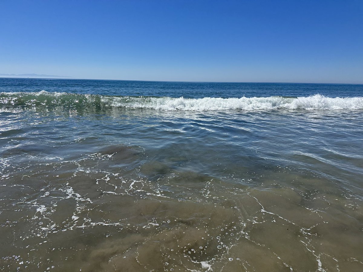 Dave's Travel Corner tweet media