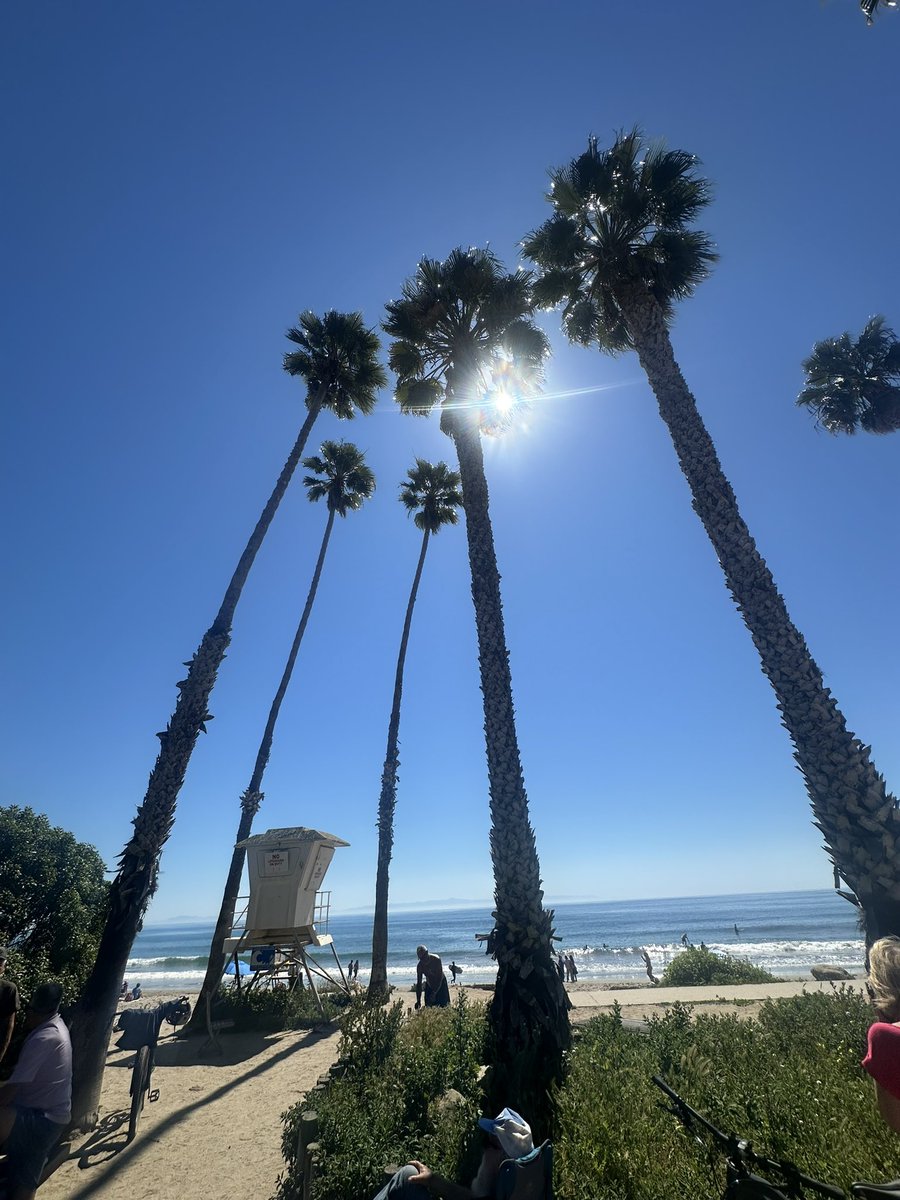 Dave's Travel Corner tweet media