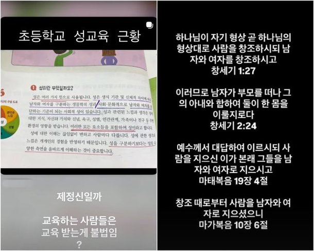 파파몽 tweet media