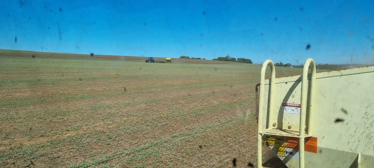 Anthony Pfitzner tweet media