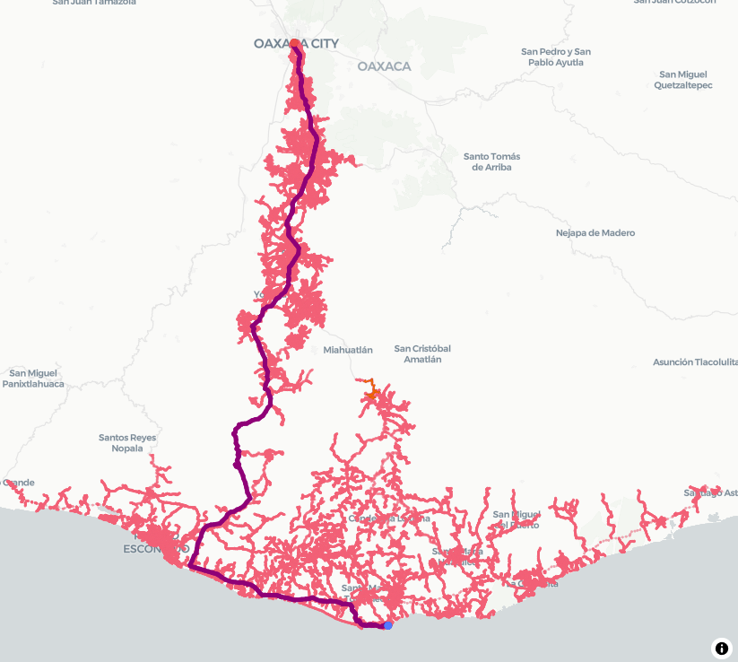 Irving MA tweet media