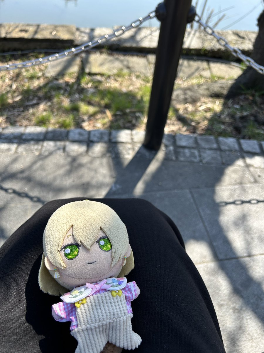 おはようございます