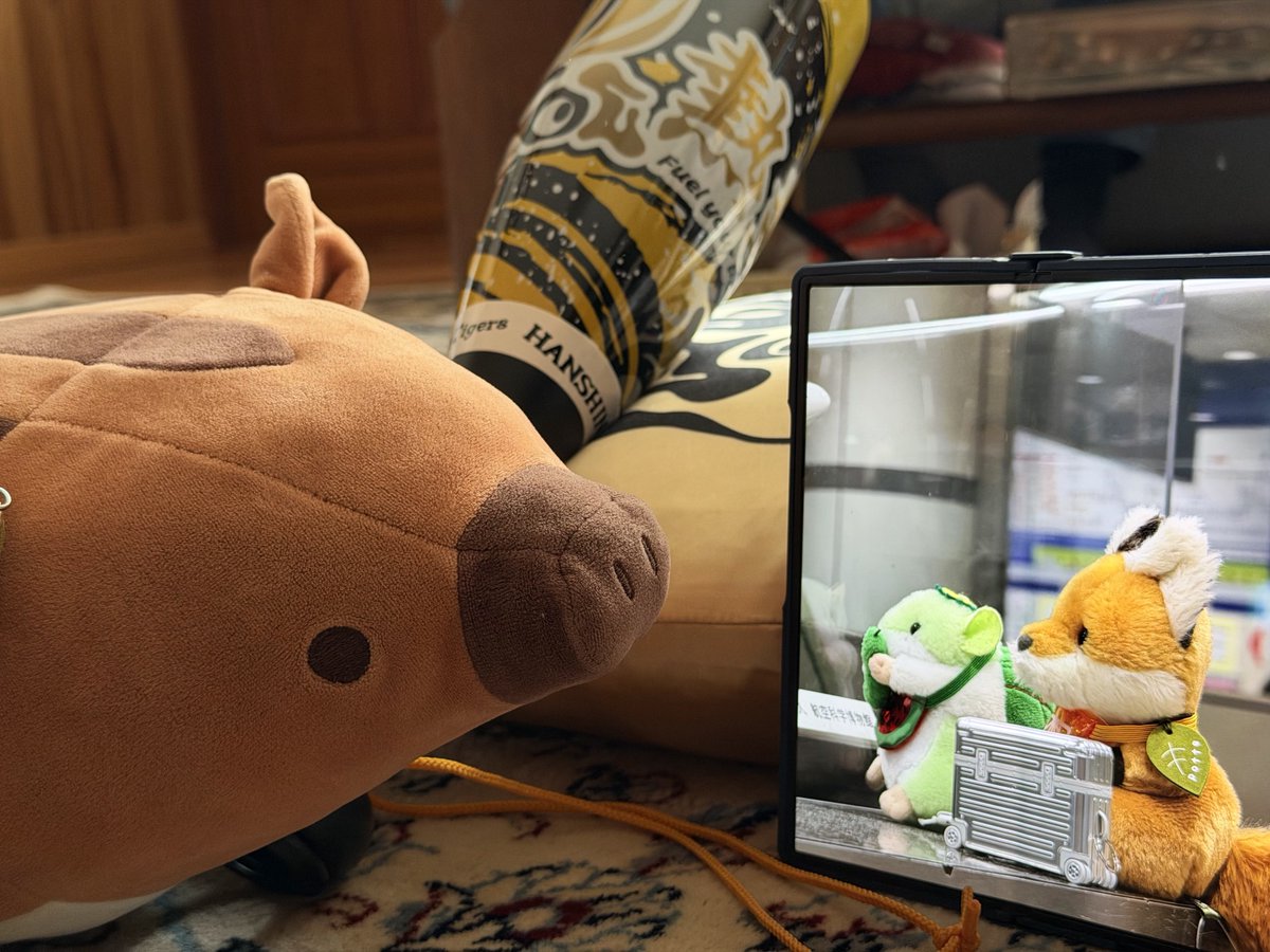 狐九/うらこや tweet media