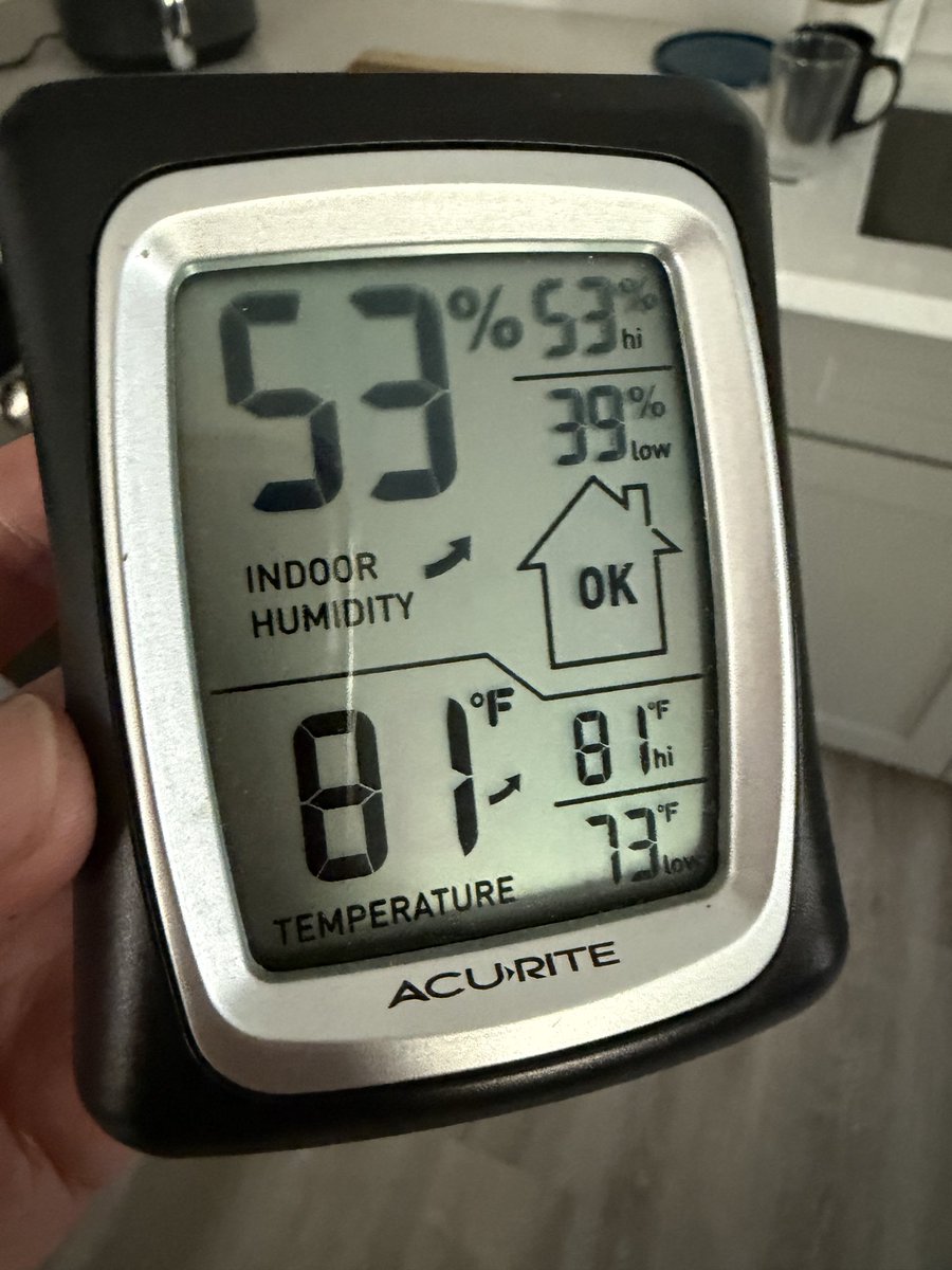 Bucketbuddy 🏴‍☠️ tweet media