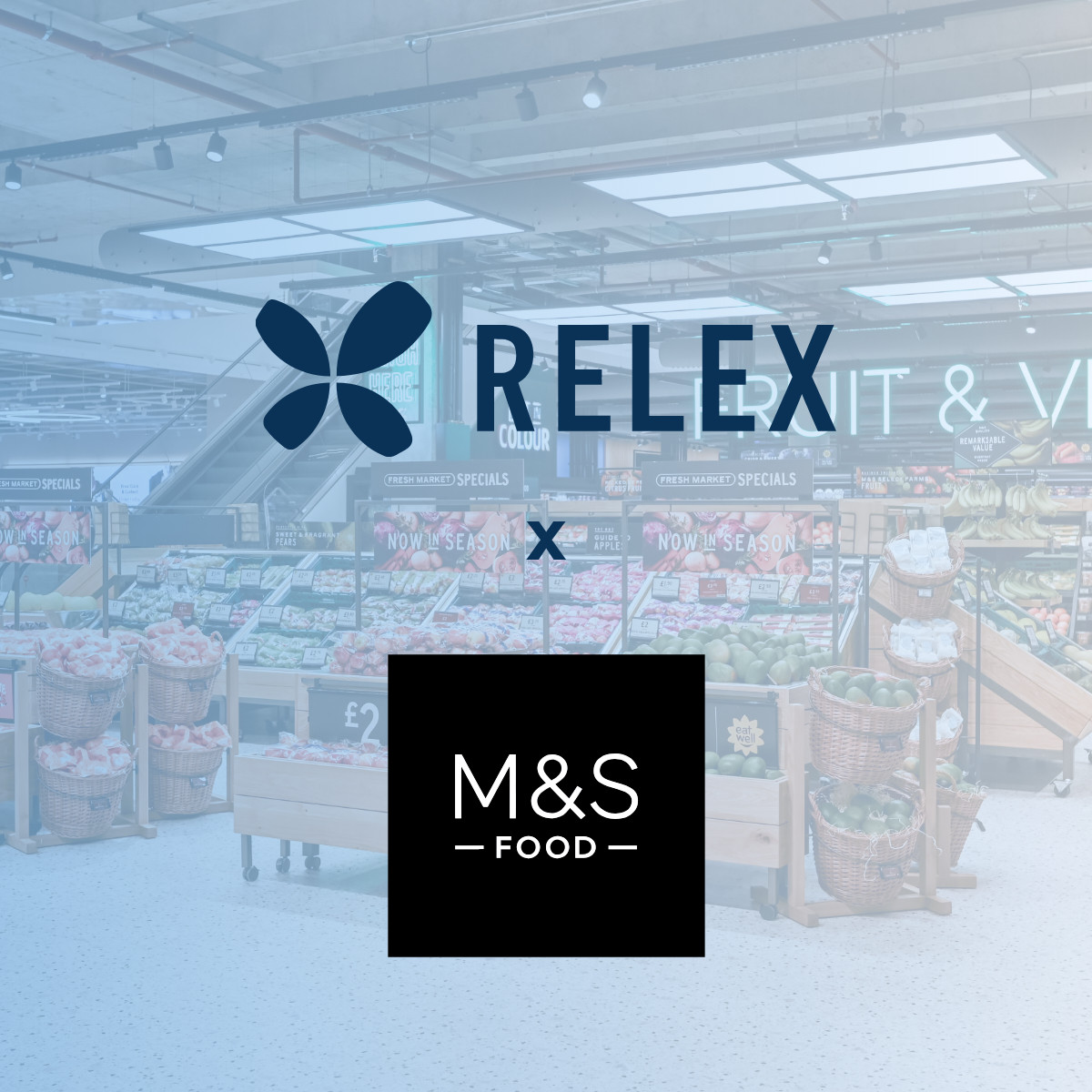 David Marcos tweet media