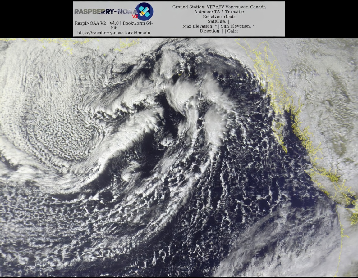 Peter Vogel tweet media