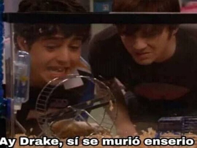 (눈‸눈) tweet media