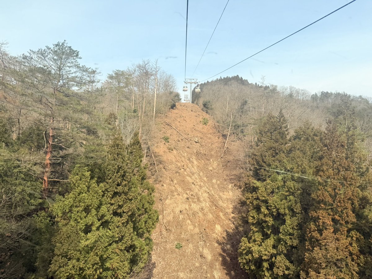 なでぃ肩 tweet media