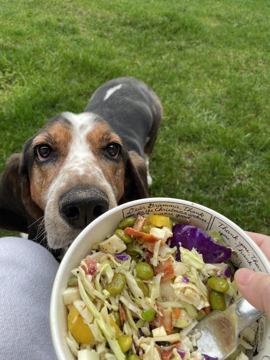 Karls (legally baby) tweet media