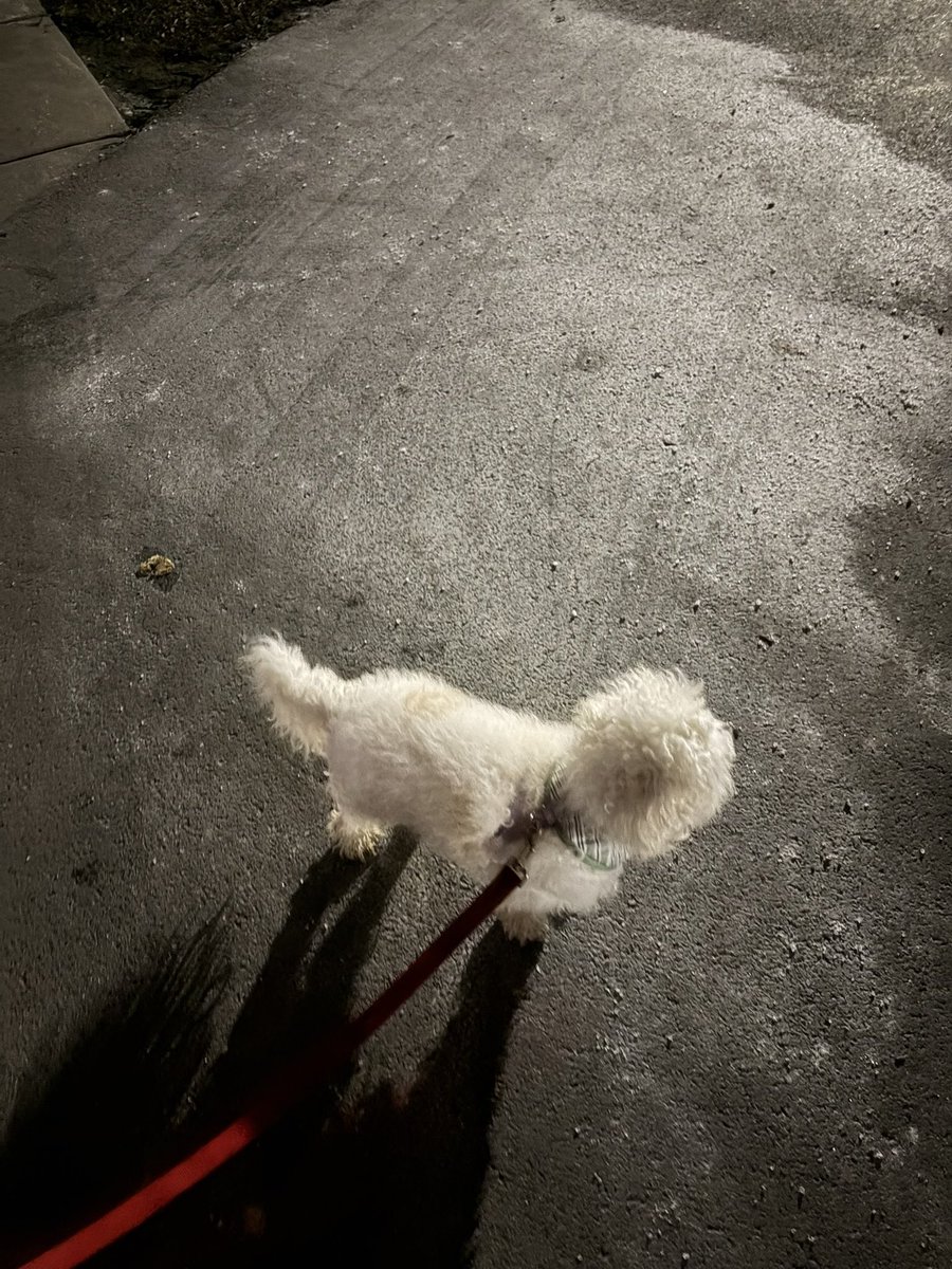 cormilllll | #1 professional wakamarin shipper tweet media