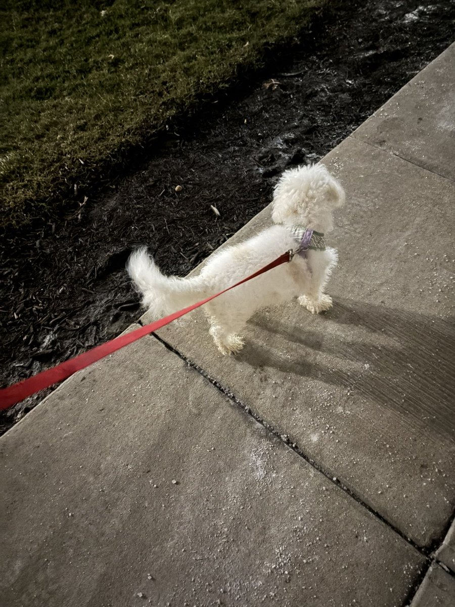 cormilllll | #1 professional wakamarin shipper tweet media