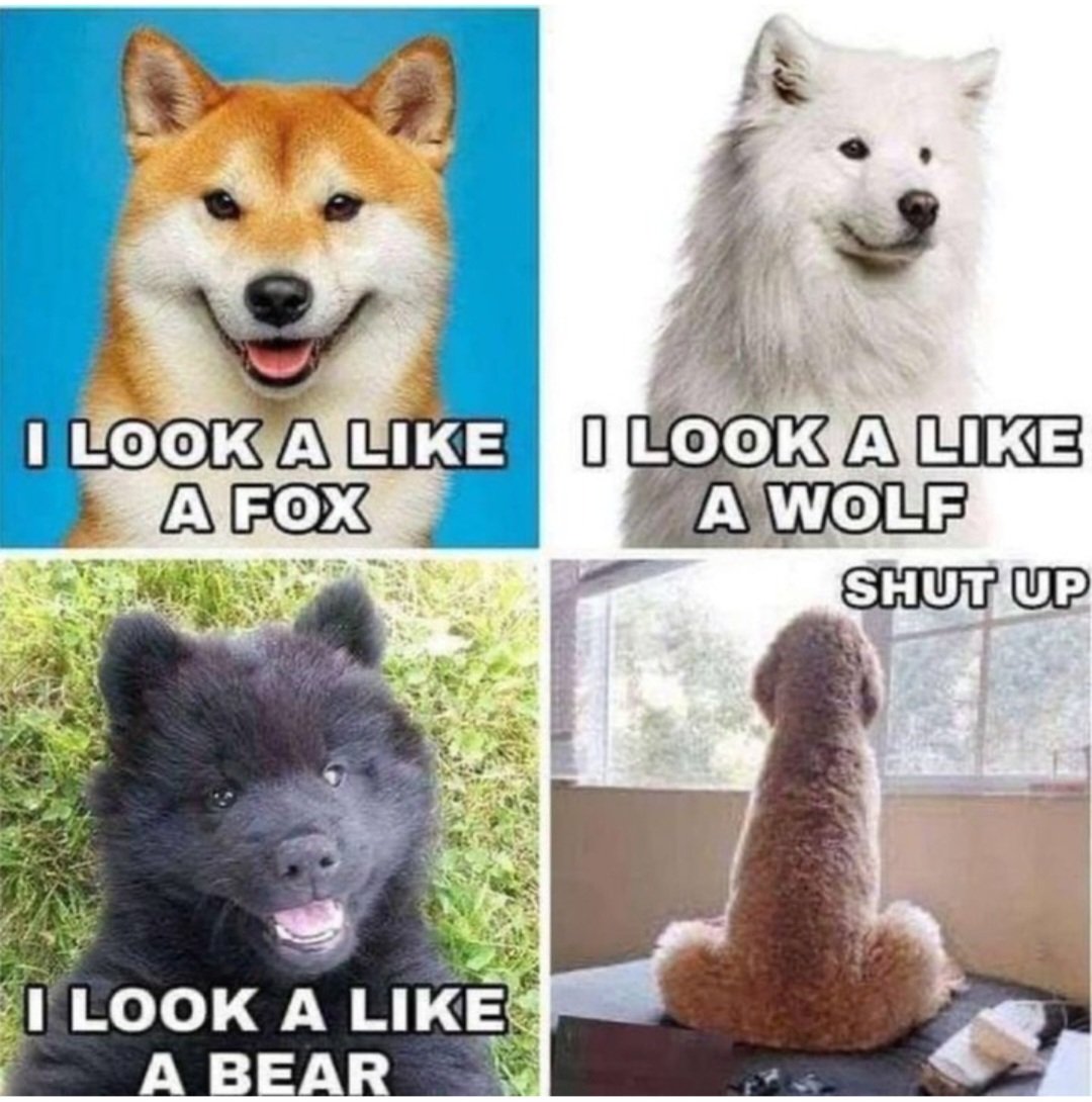 Colonel_slade tweet media