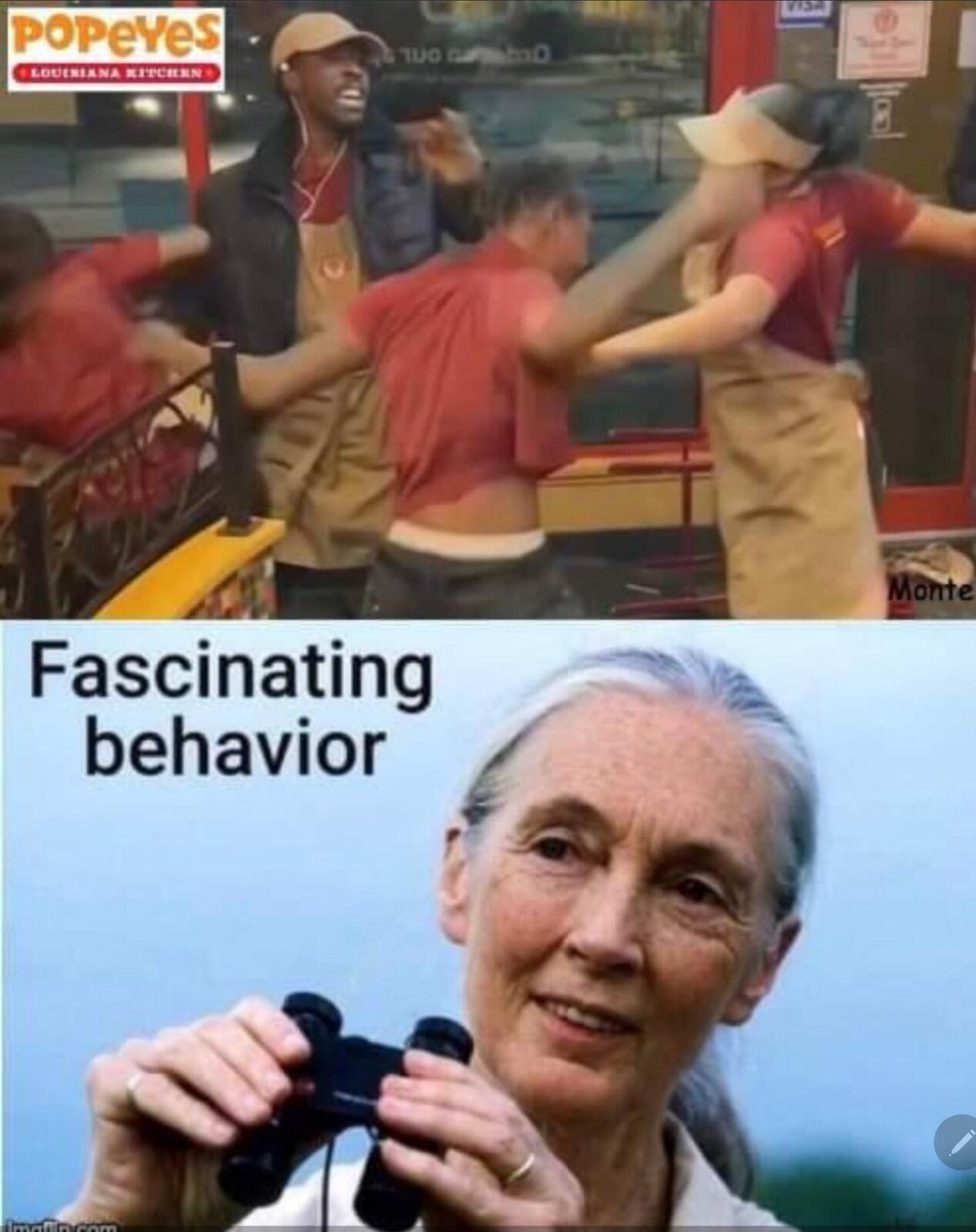 stephen webber tweet media