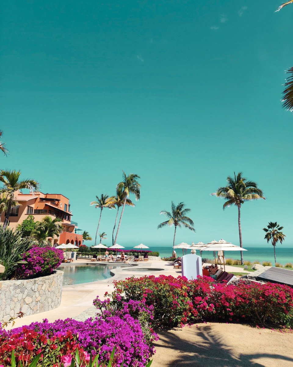 ZoetryResorts's tweet photo. The way a day begins shapes everything that follows. 🥐 🌴 

In quiet mornings, simple rituals create steadiness, clarity, and a sense of ease that carries forward.

At #ZoëtryCasaDelMar, each morning is an invitation to begin with intention: https://t.co/LB8SHYRVol https://t.co/nu7ZBbLdly