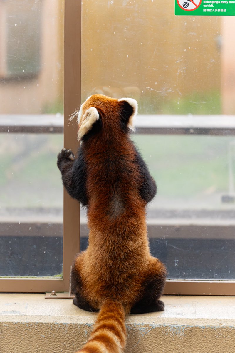 るん🐾 tweet media