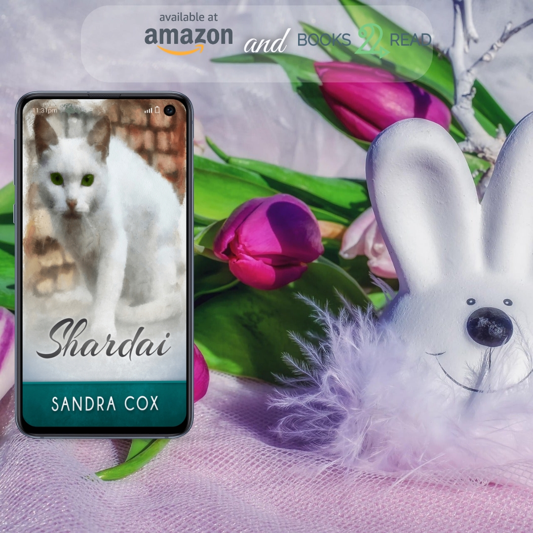 Sandra Cox tweet media