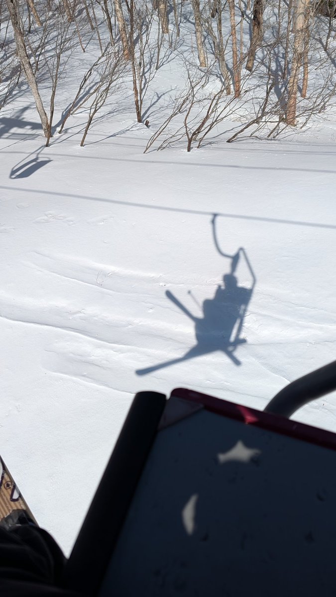 らいでん 🇯🇵Yokohama tweet media