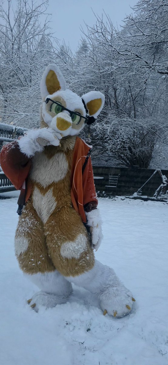 ☘️Little Mia Fox💚 tweet media