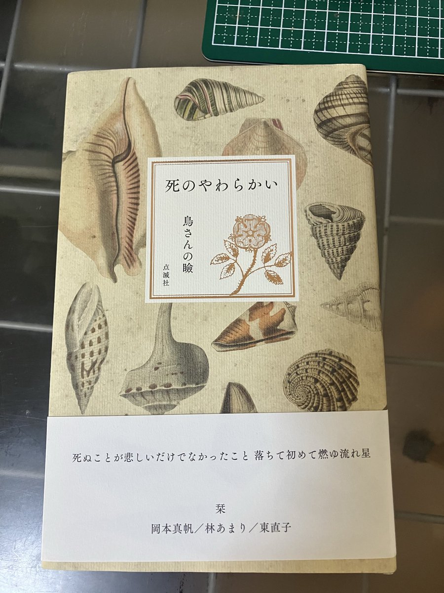 エムフネ（早寝早起きする） tweet media