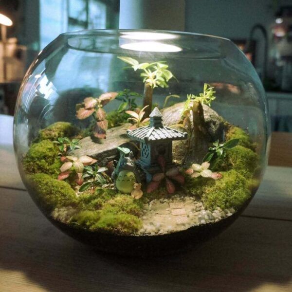 フィリピンプライマー tweet media