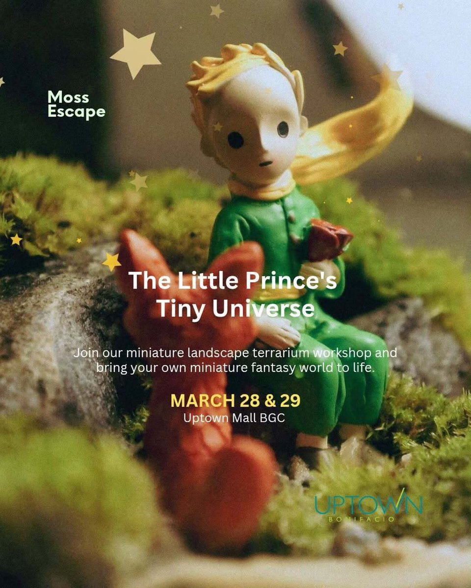 フィリピンプライマー tweet media