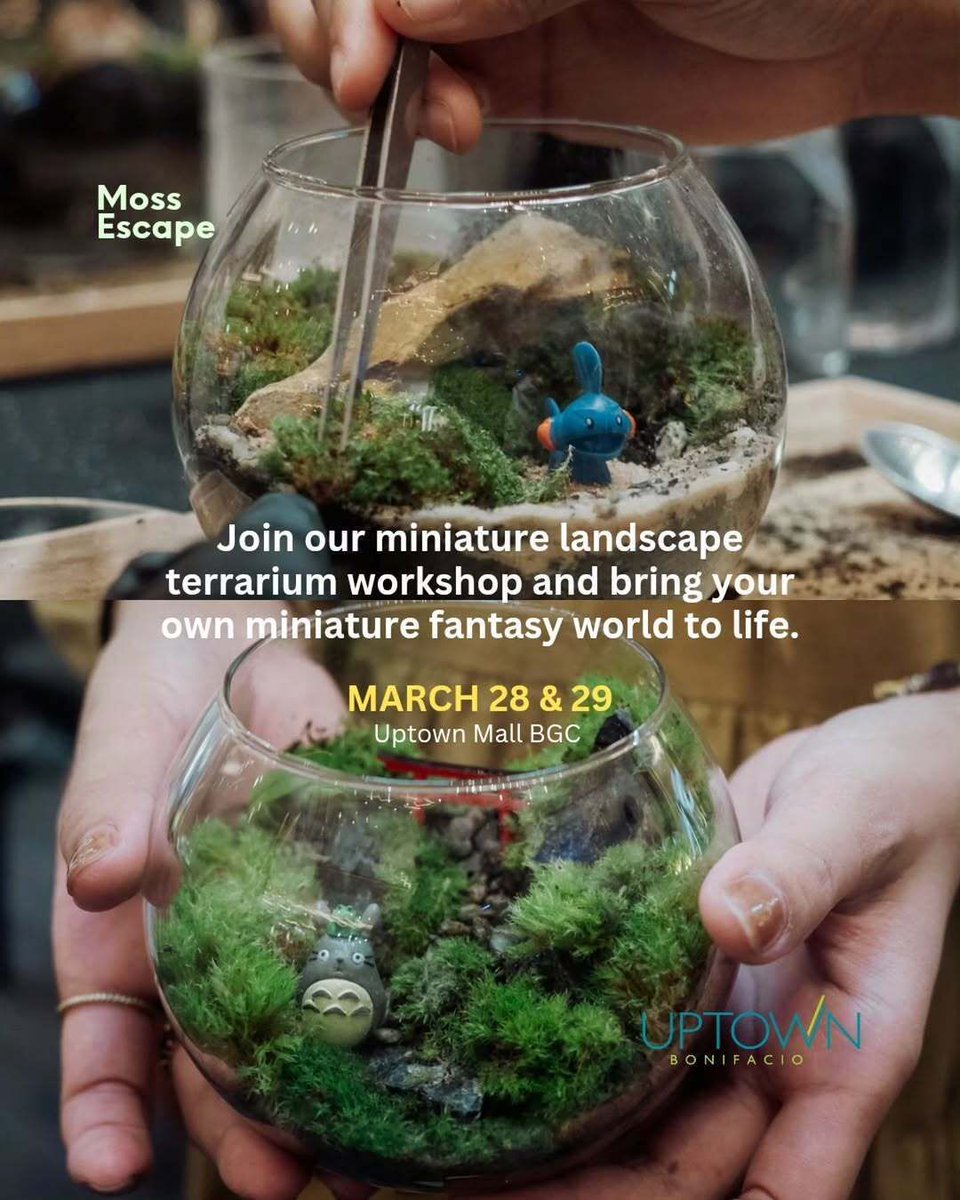 フィリピンプライマー tweet media