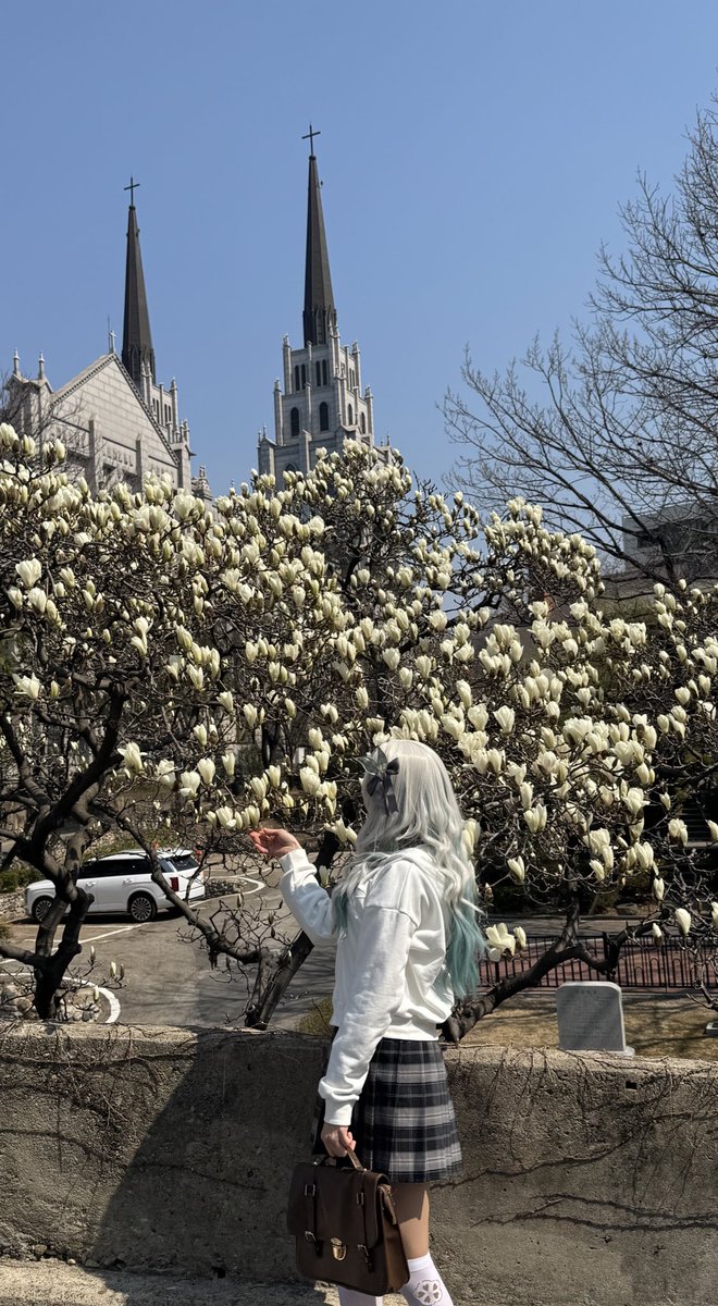 츄네 ちゅね / 부코양일 tweet media