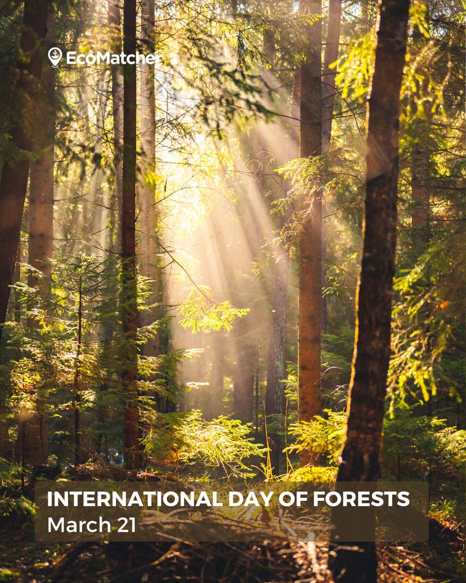 EcoMatcher tweet media