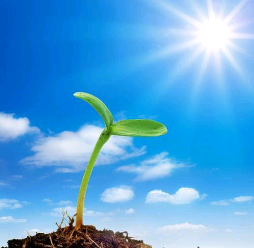 Erin Phoenix tweet media