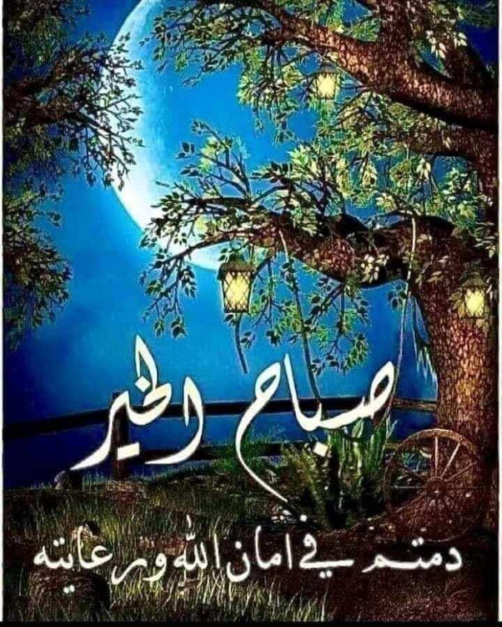 Road Captain tweet media