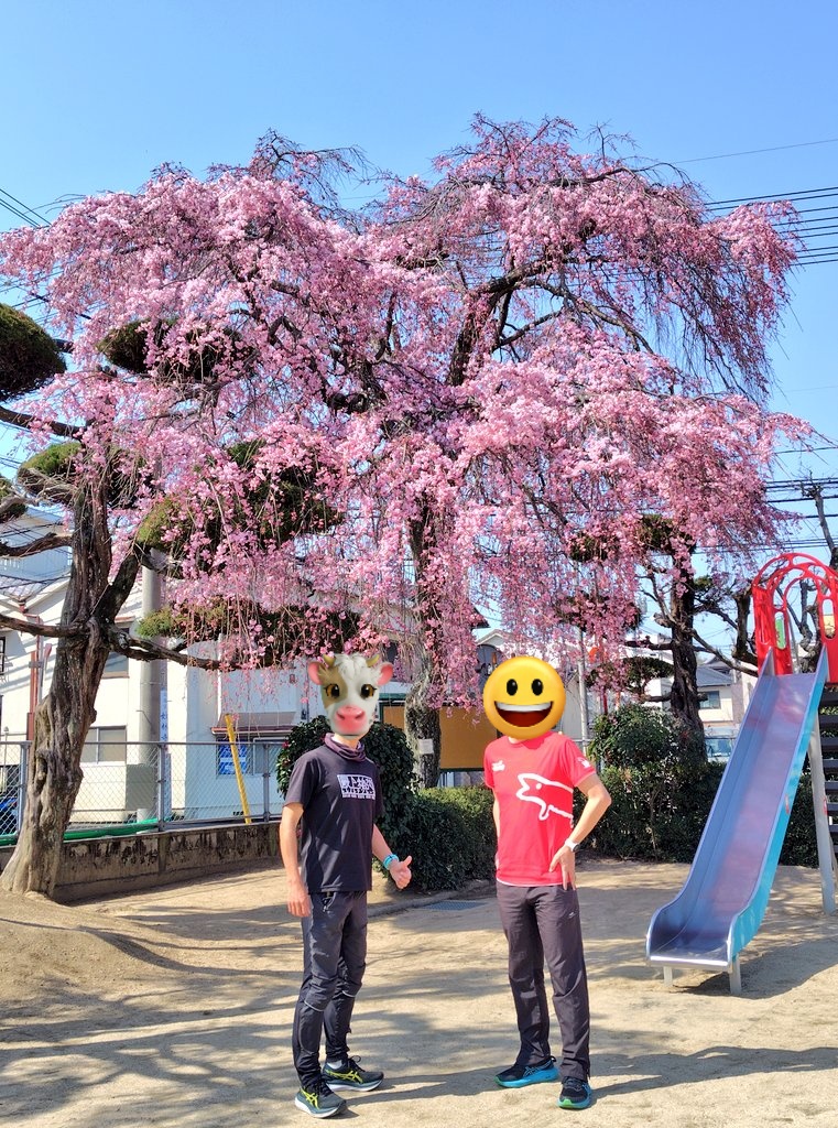 shibaki_j tweet media