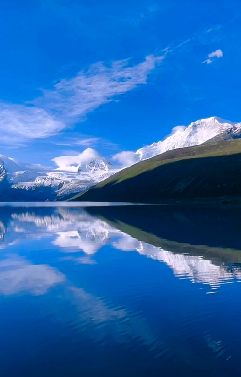 tina grant tweet media