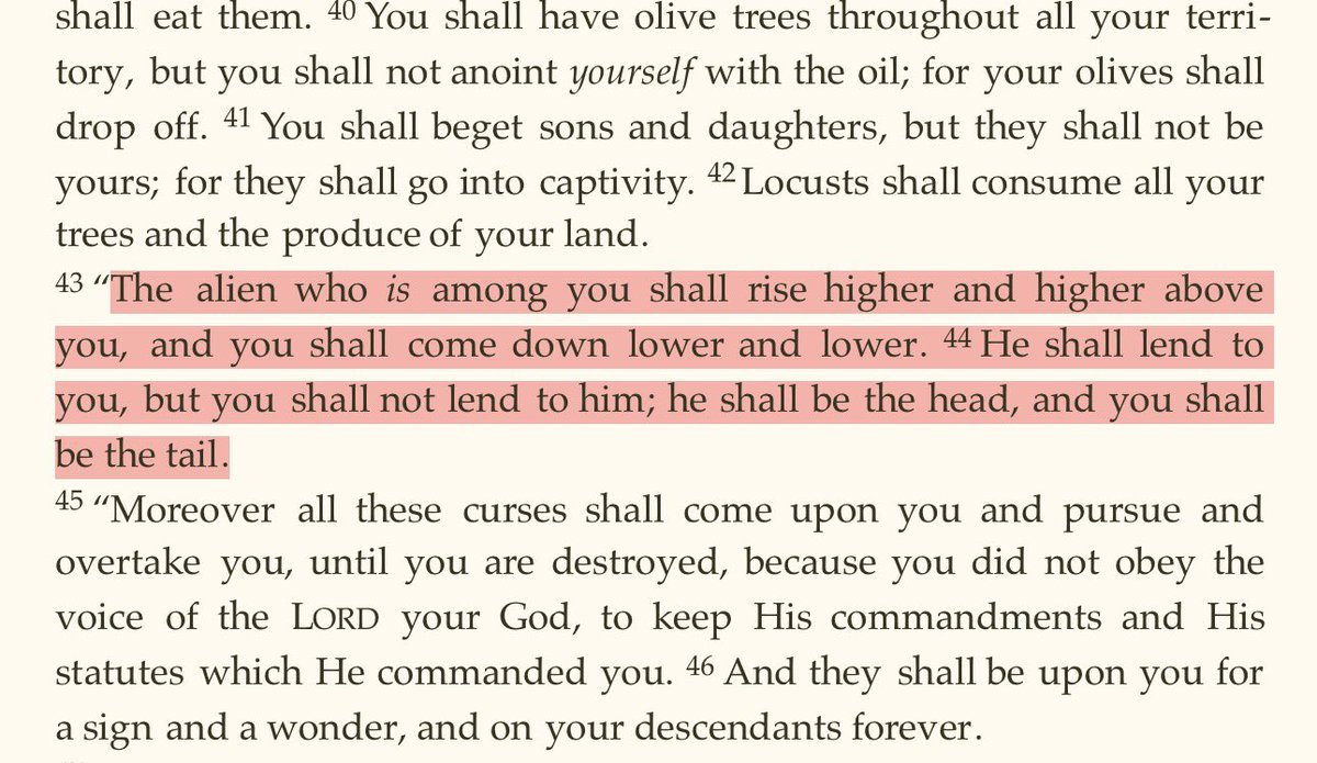 Andrew Isker 🌳🪓 tweet media