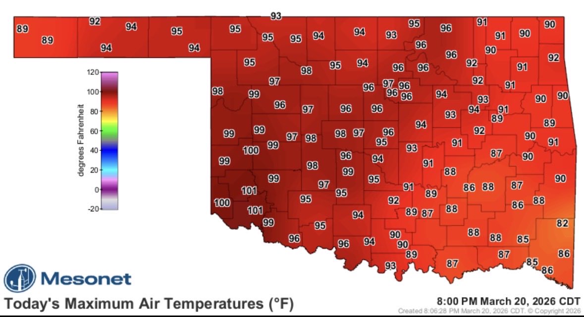 Emily Sutton tweet media